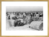 View of palm traders and ...