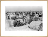 View of palm traders and ...