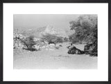 View of Wilfred Thesiger's party ...