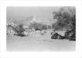 View of Wilfred Thesiger's party ...