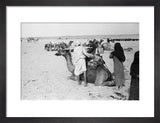 View of a family of ...