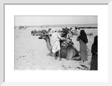 View of a family of ...