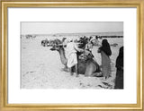 View of a family of ...