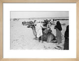 View of a family of ...
