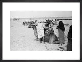 View of a family of ...