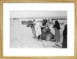 View of a family of ...