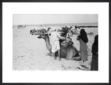 View of a family of ...