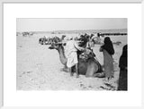 View of a family of ...
