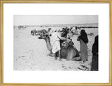 View of a family of ...