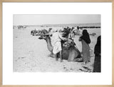 View of a family of ...