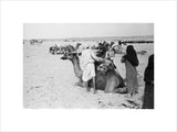 View of a family of ...
