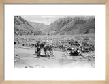 View of Wilfred Thesiger's travelling ...