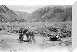 View of Wilfred Thesiger's travelling ...