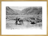 View of Wilfred Thesiger's travelling ...