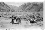 View of Wilfred Thesiger's travelling ...