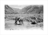 View of Wilfred Thesiger's travelling ...