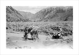 View of Wilfred Thesiger's travelling ...