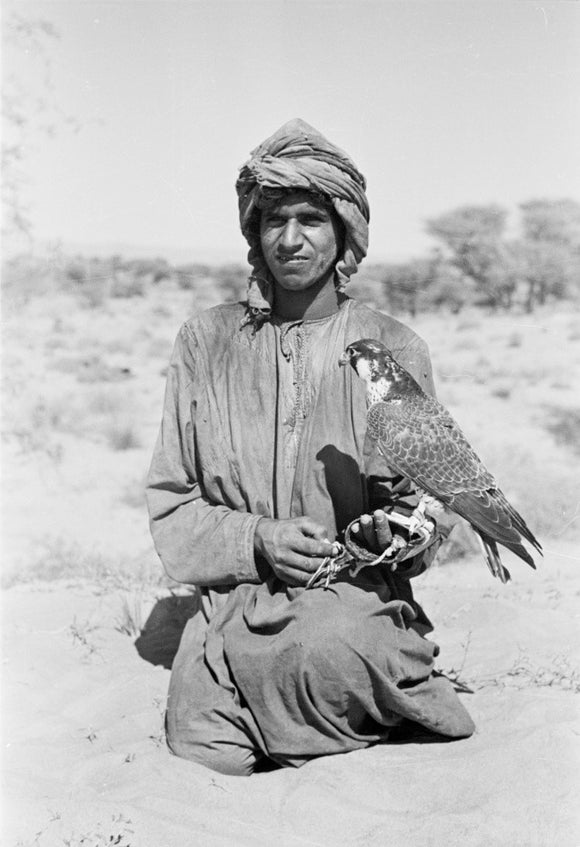 Seated portrait of an Arab ...