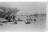 View of Wilfred Thesiger's travelling ...