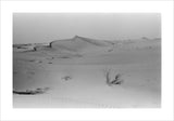 View of desert landscape in ...