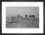 View of three members of ...