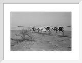 View of three members of ...