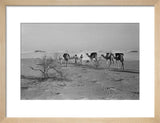 View of three members of ...