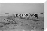 View of three members of ...