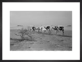 View of three members of ...