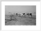 View of three members of ...