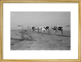 View of three members of ...