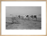 View of three members of ...