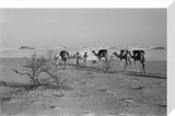 View of three members of ...