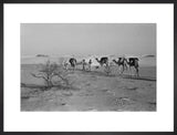 View of three members of ...