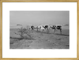 View of three members of ...