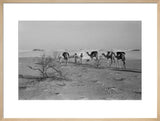 View of three members of ...