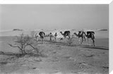 View of three members of ...