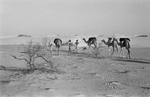 View of three members of ...