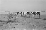 View of three members of ...