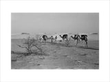 View of three members of ...