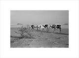 View of three members of ...