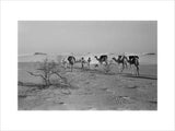 View of three members of ...
