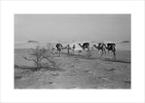 View of three members of ...