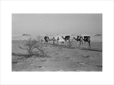 View of three members of ...