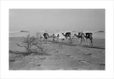 View of three members of ...