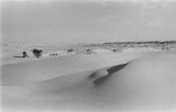 View of Wilfred Thesiger's travelling ...