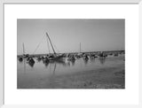 View of dhows (sailboats) and ...