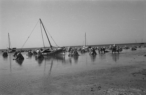 View of dhows (sailboats) and ...