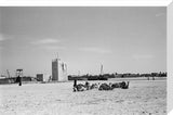 View of camels resting at ...