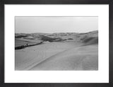 View of a grove of ...
